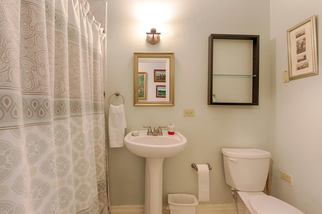 Chester Avenue Guest House 金斯敦 外观 照片