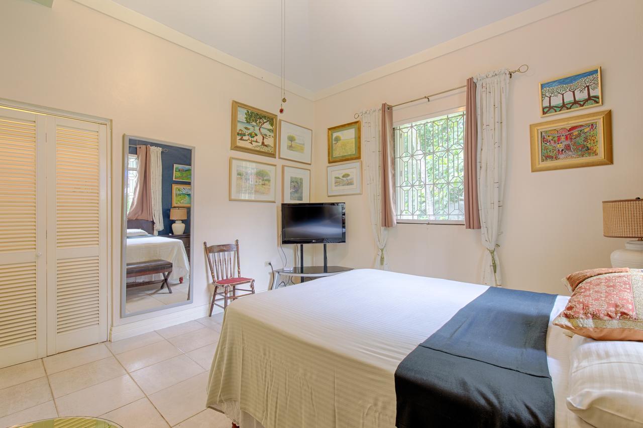 Chester Avenue Guest House 金斯敦 外观 照片