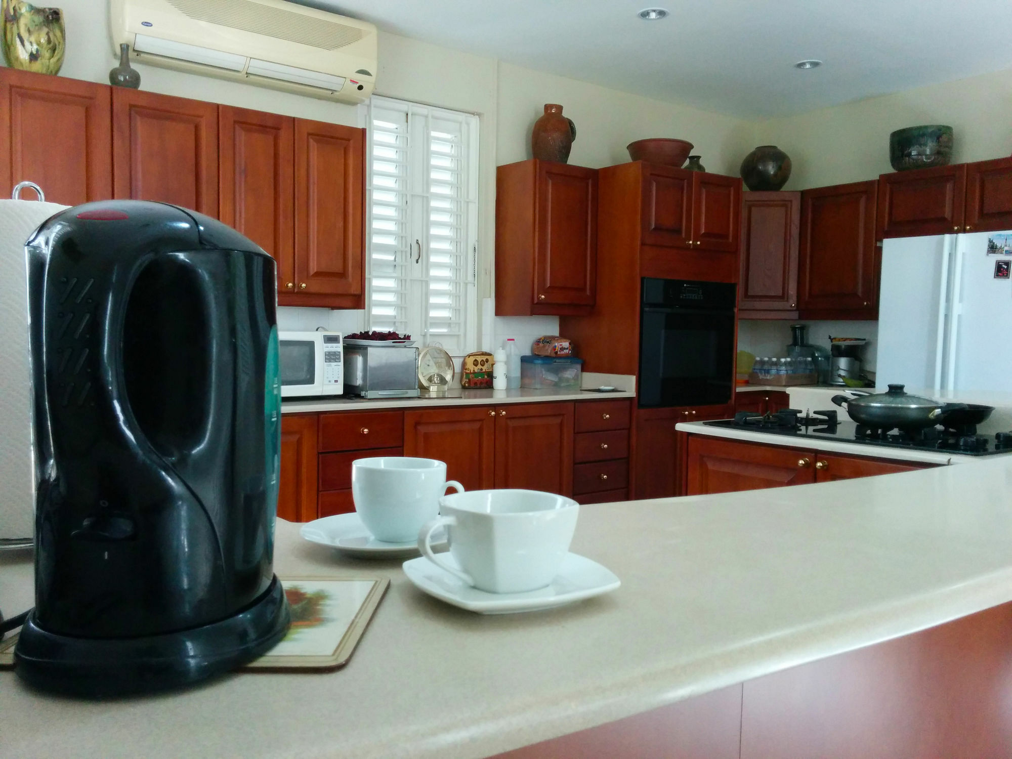 Chester Avenue Guest House 金斯敦 外观 照片