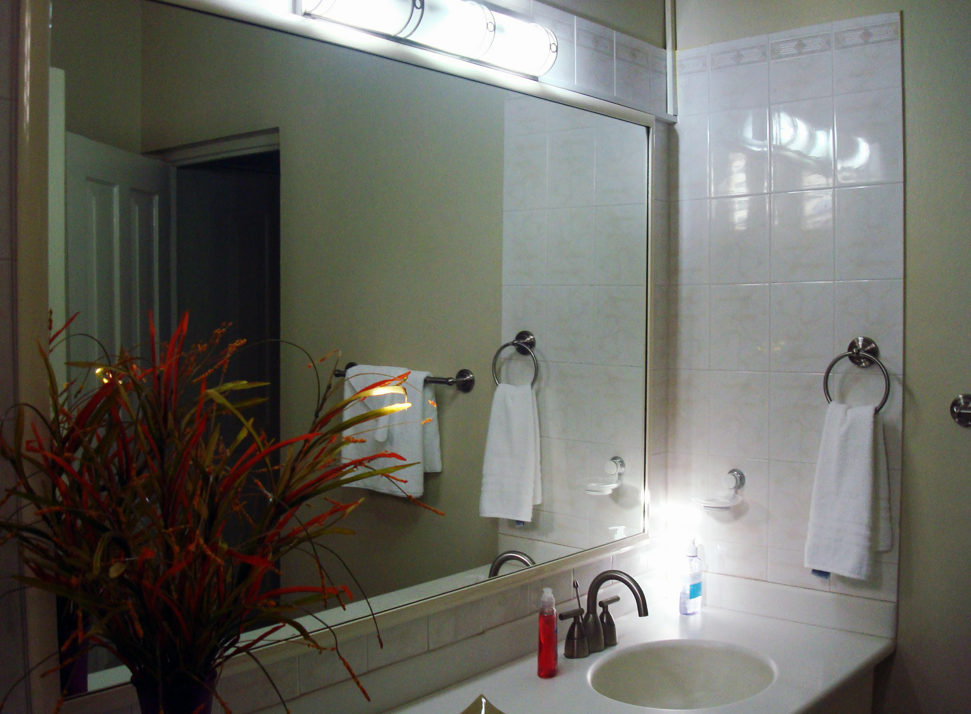 Chester Avenue Guest House 金斯敦 外观 照片