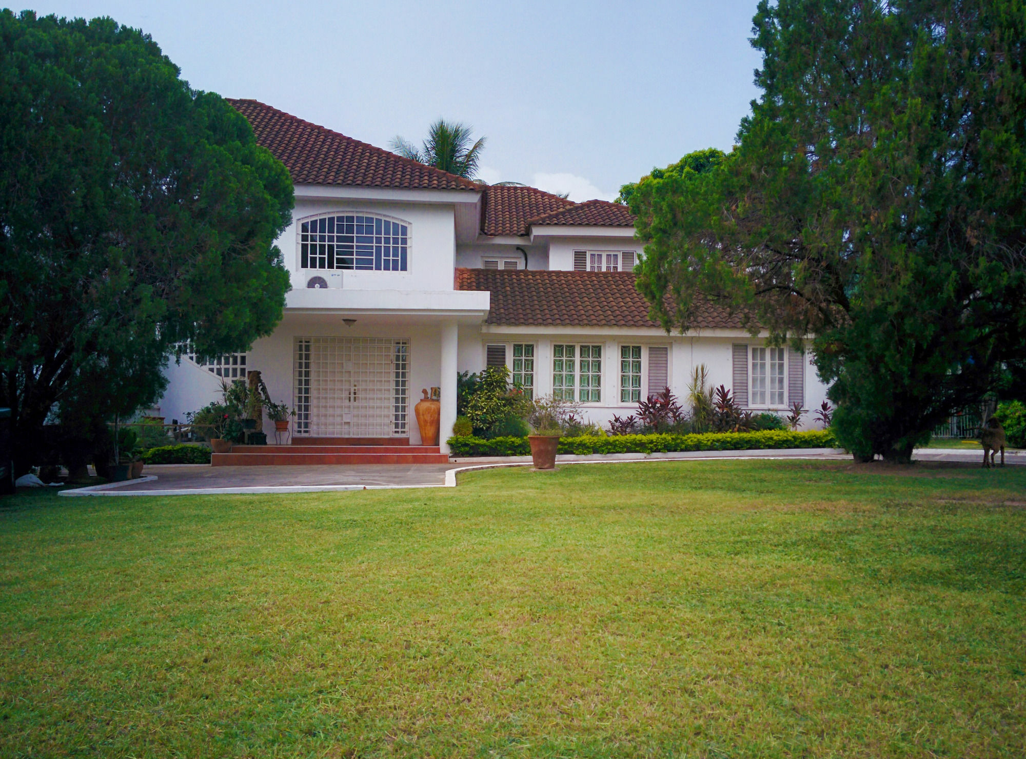 Chester Avenue Guest House 金斯敦 外观 照片