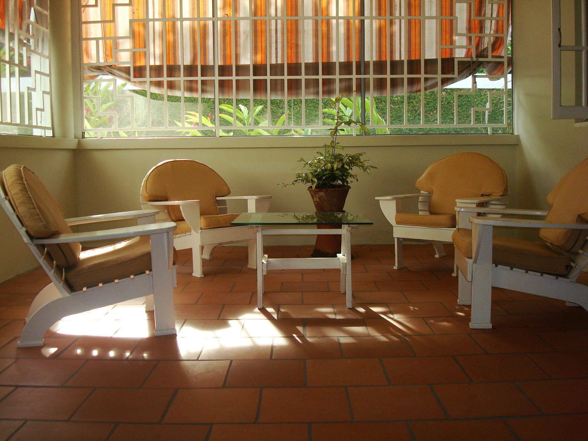 Chester Avenue Guest House 金斯敦 外观 照片