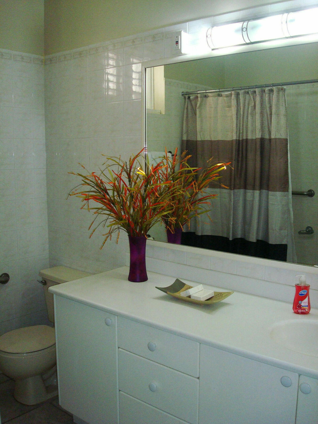 Chester Avenue Guest House 金斯敦 外观 照片