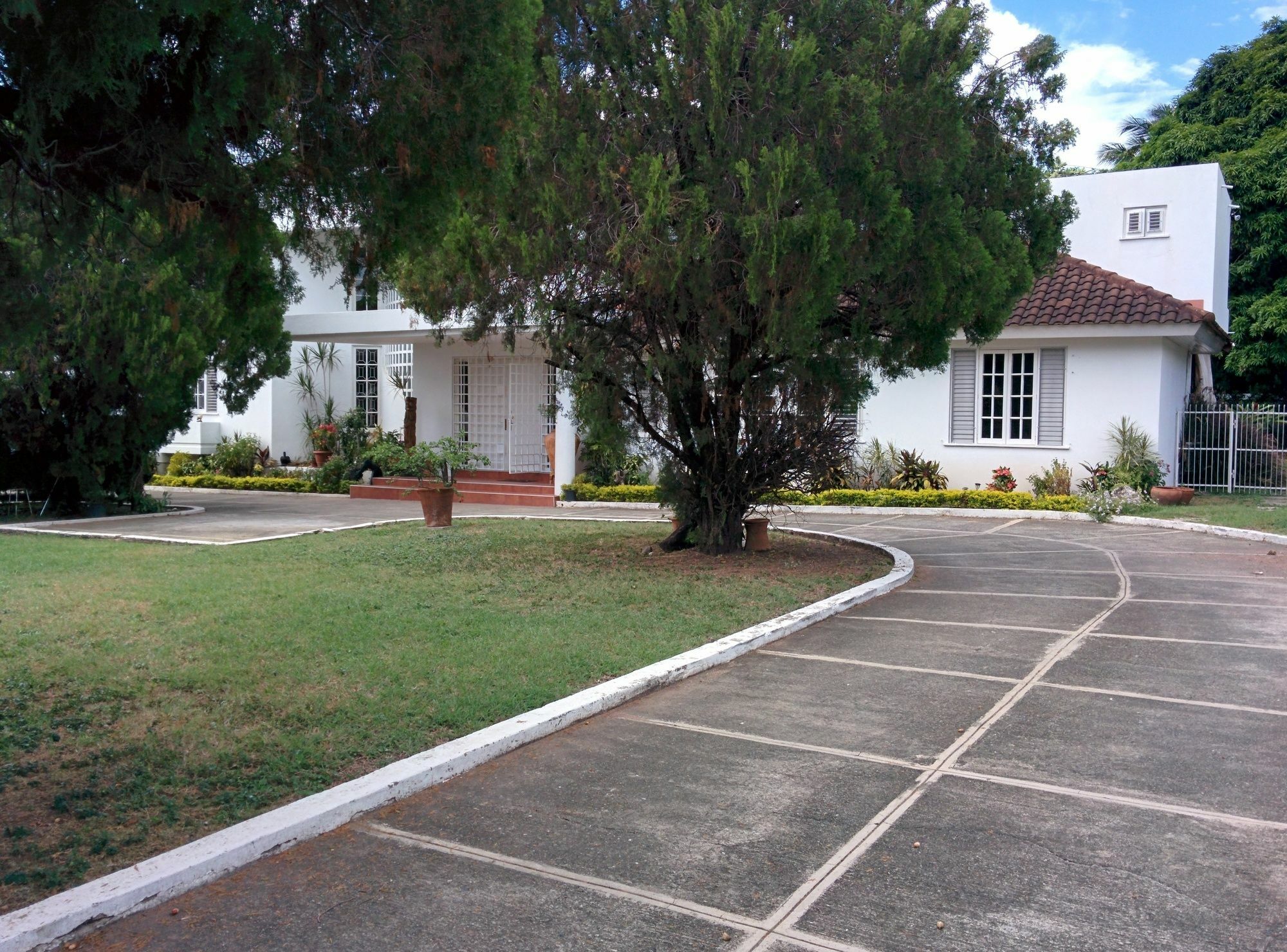 Chester Avenue Guest House 金斯敦 外观 照片