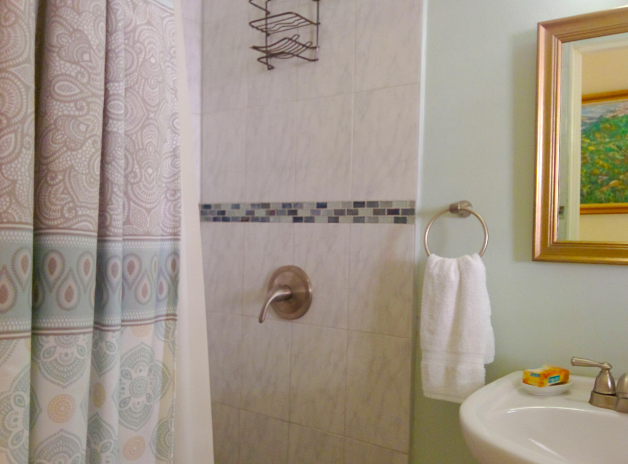 Chester Avenue Guest House 金斯敦 外观 照片