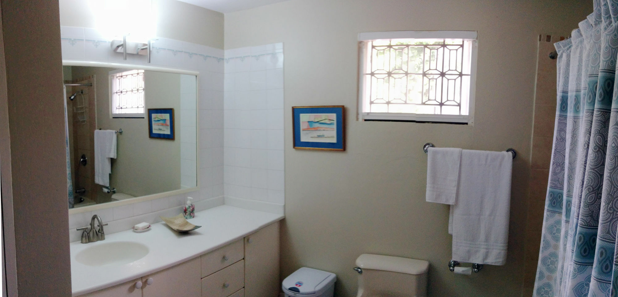 Chester Avenue Guest House 金斯敦 外观 照片