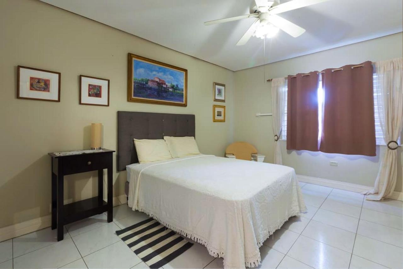 Chester Avenue Guest House 金斯敦 外观 照片