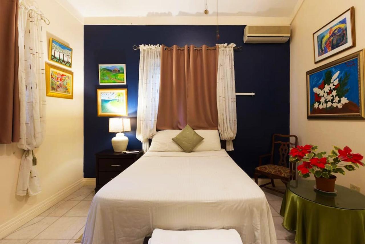 Chester Avenue Guest House 金斯敦 外观 照片