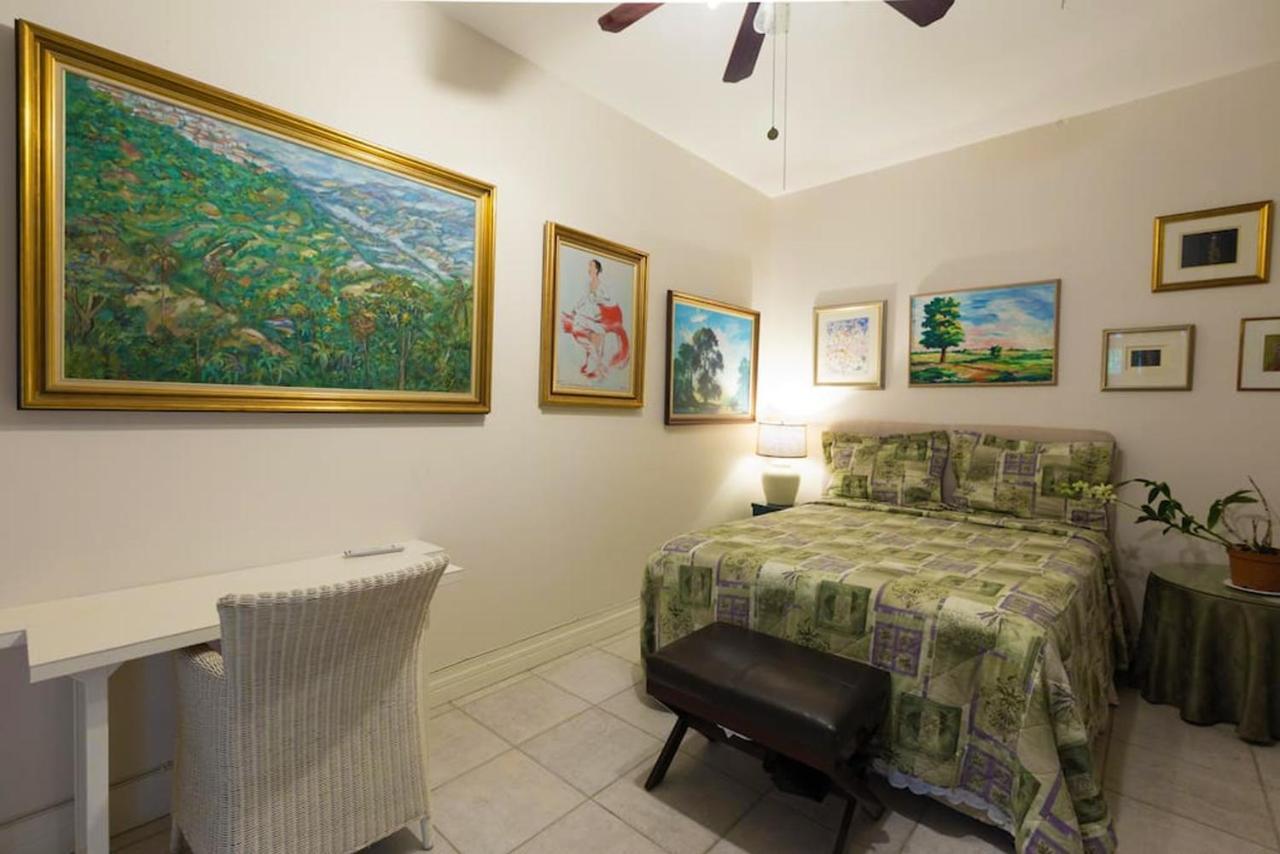Chester Avenue Guest House 金斯敦 外观 照片