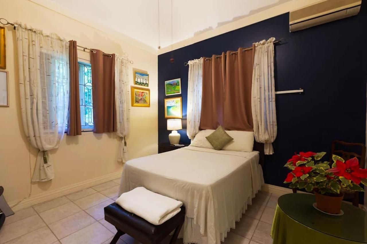 Chester Avenue Guest House 金斯敦 外观 照片